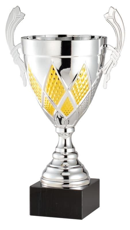 Custom trophy with engraved base plate